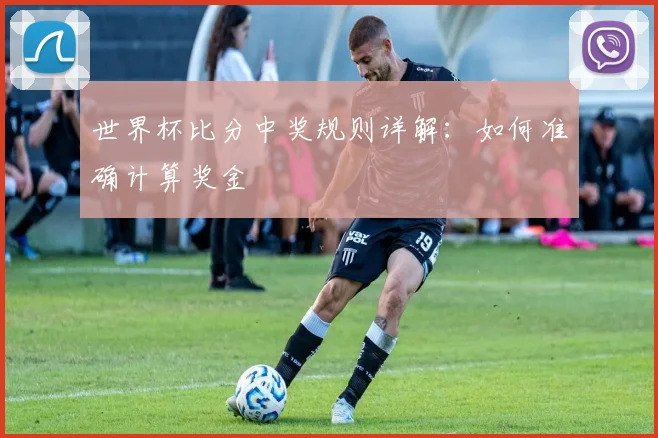 世界杯比分中奖规则详解:如何准确计算奖金