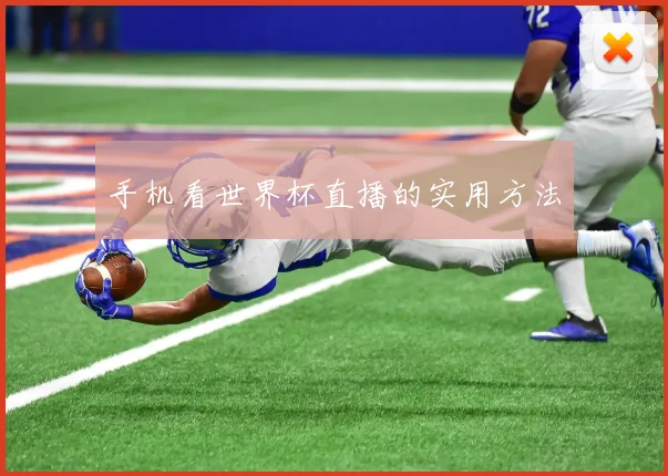 手机看世界杯直播的实用方法